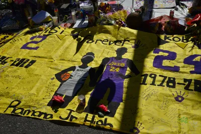 DSC_7139 (Large).JPG